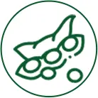 Soja